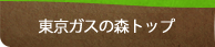 ����E�����K�X�̐X�g�b�v
