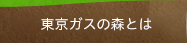 ����E�����K�X�̐X�Ƃ�