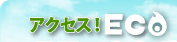 �A�N�Z�X�IECO