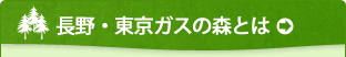 ����E�����K�X�̐X�Ƃ�