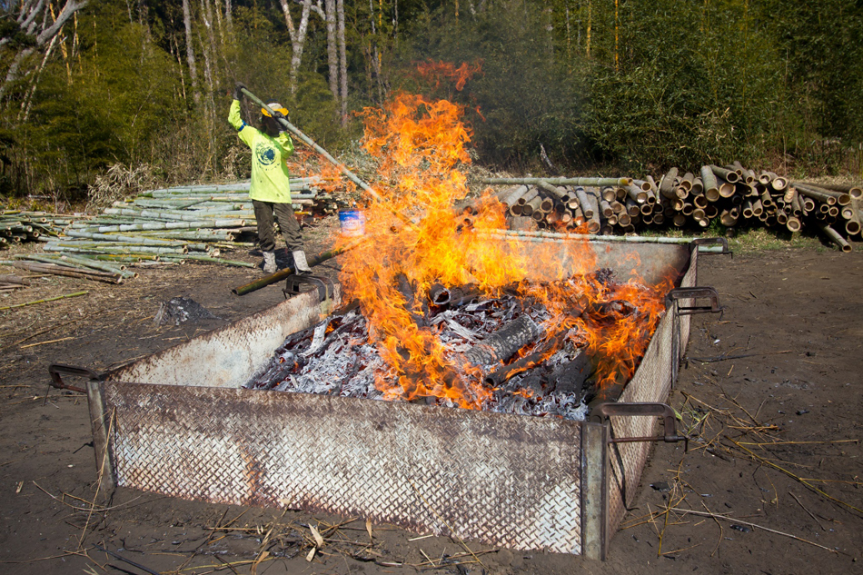 開放炉で焼き、注水消火して作る竹炭