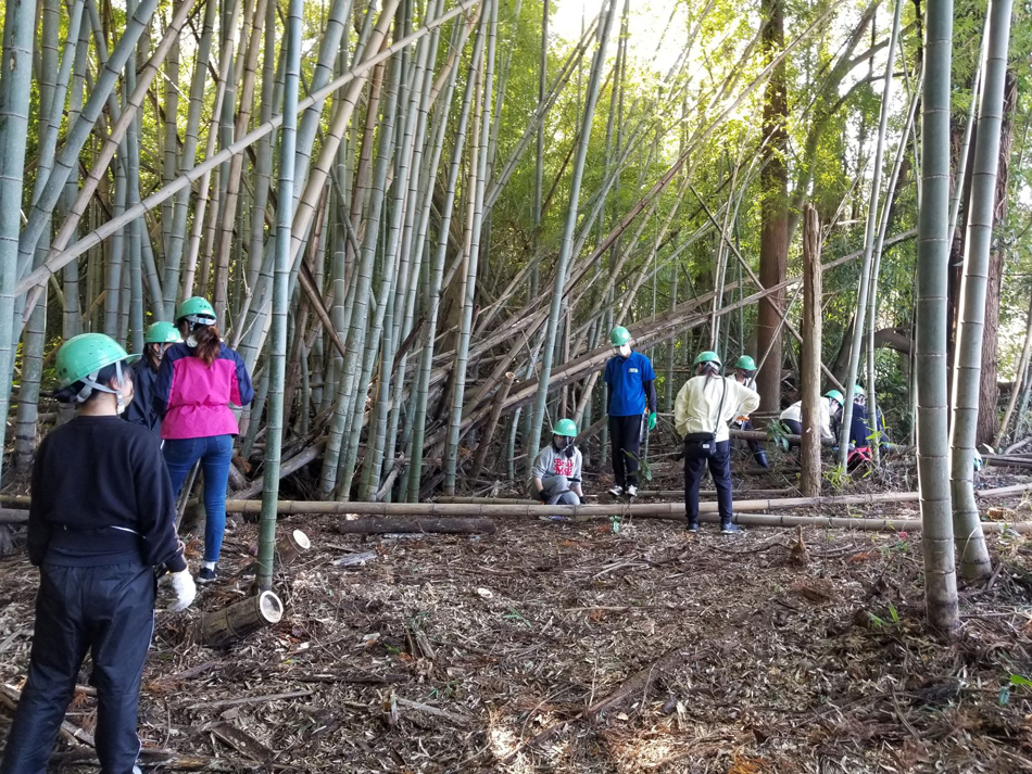 大学生ボランティアによる竹林整備の様子