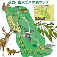 長野・東京ガスの森マップ
