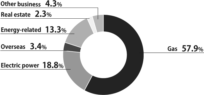 Sales compositon by segments (FY2021 ended March 2022)