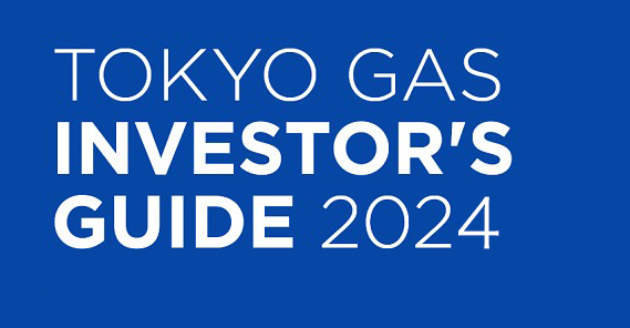 Investors' Guide