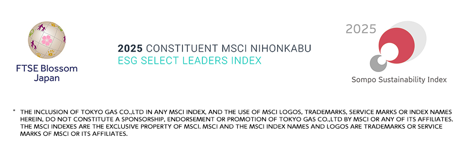 Major ESG Ratings