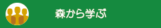 森から学ぶ
