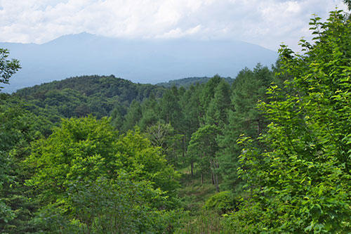 写真:梅雨になり、雲で隠れる浅間山