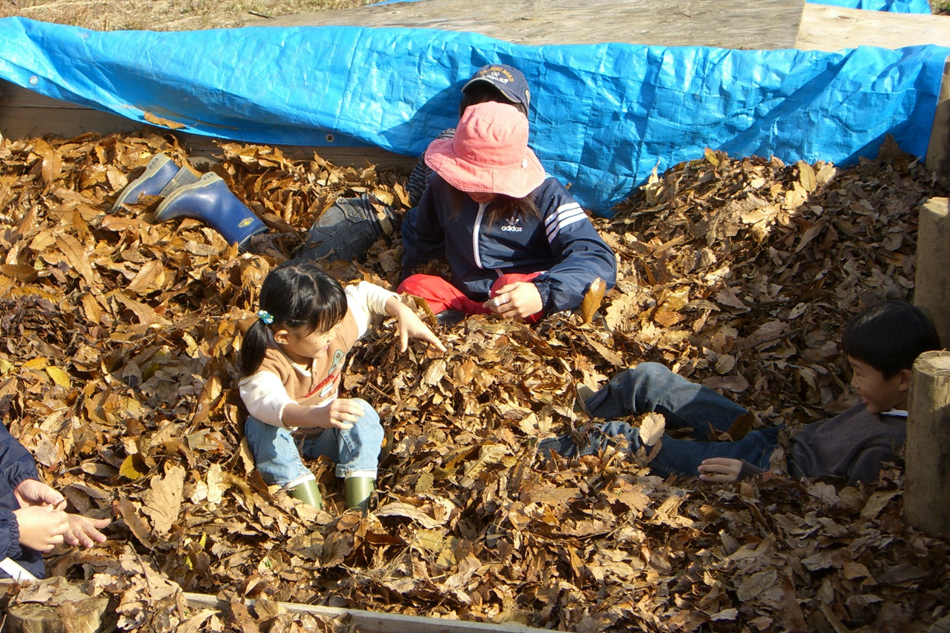 拾い集めた落ち葉のプール（養分の足りない土地の堆肥づくり）