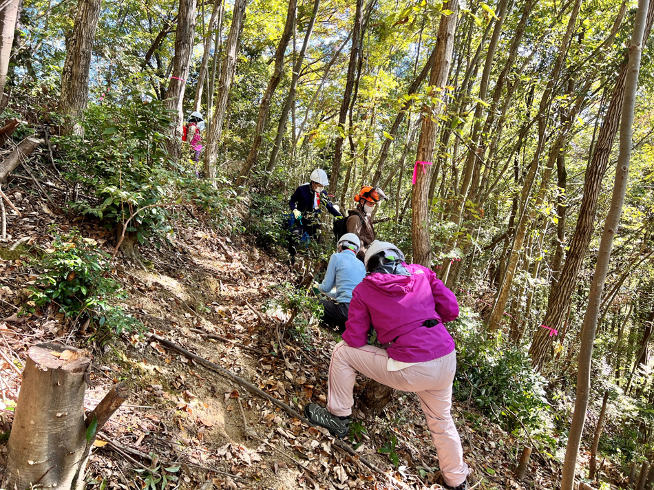 里山の整備促進。ボランティア作業