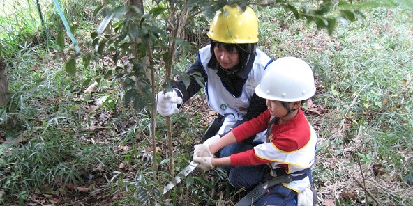 東京に残された貴重な自然環境を守る除伐体験（里の活動）