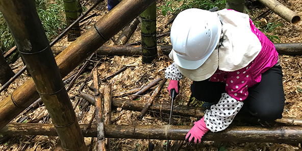 荒廃した竹林の整備（森の活動）