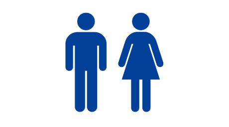 男女比率