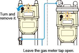 Turn and remove it. Leave the gas meter tap open.