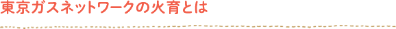 東京ガスネットワークの火育とは