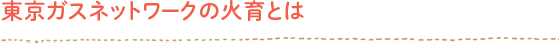 東京ガスネットワークの火育