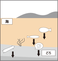 天然ガスができるまで 1