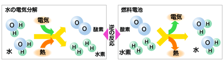 燃料電池の発電の原理の図