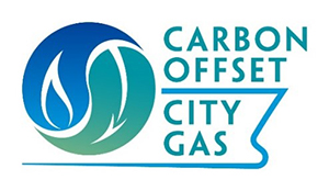 CARBON OFFSET CITY GAS