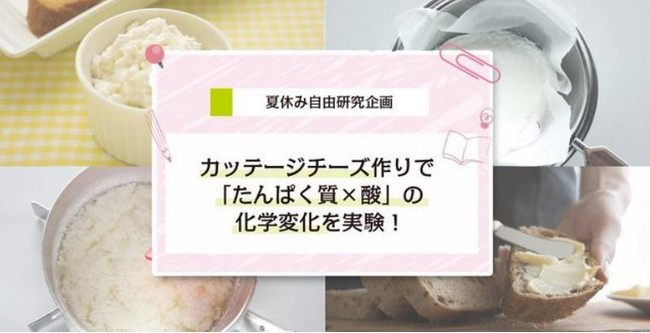 夏休み自由研究企画 カッテージチーズ作りで「たんぱく質×酸」の化学変化を実験！