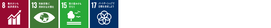 SDGs8 13 15 17