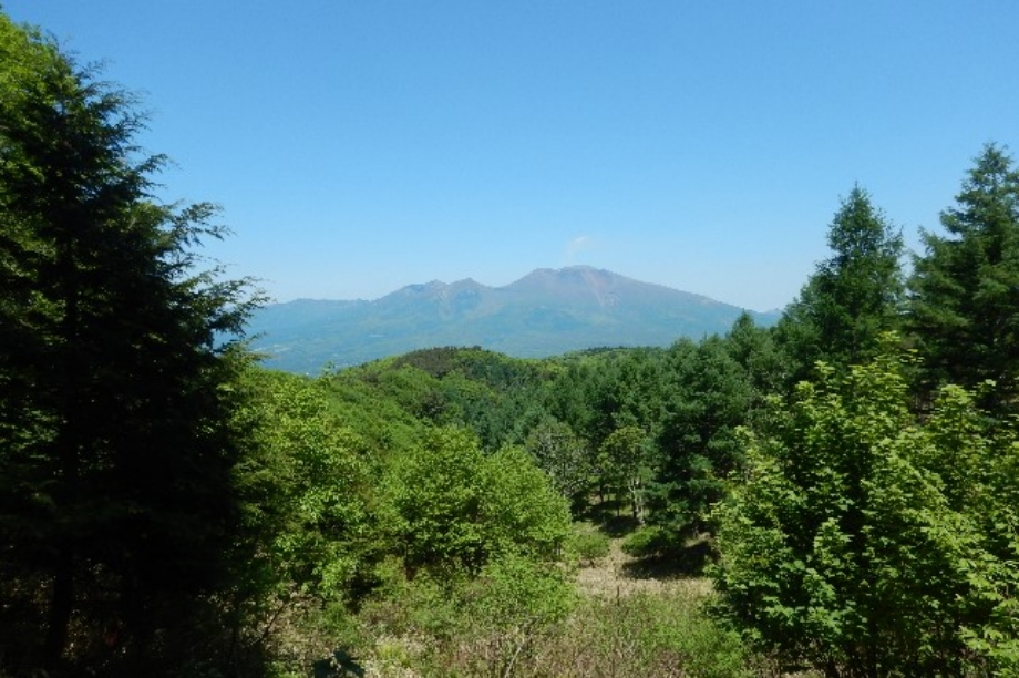 「東京ガスの森」での生物多様性保全活動