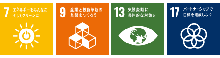 SDGs 7 9 13 17