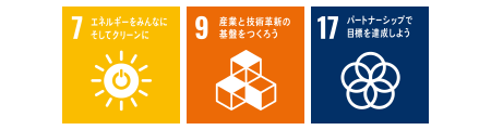 SDGs 7 9 17